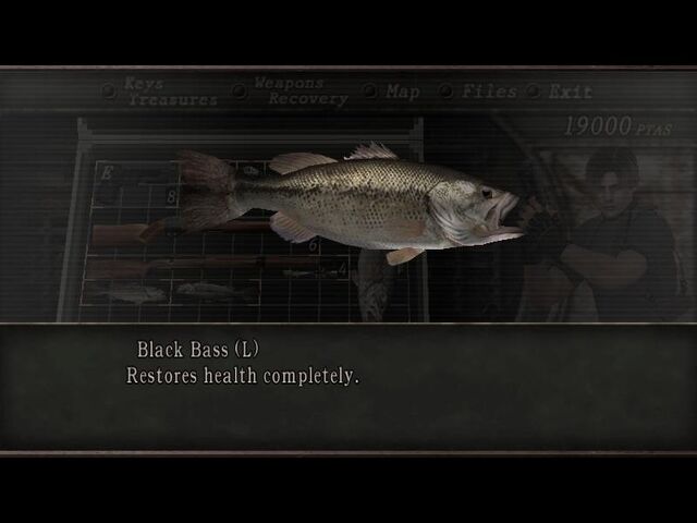 File:Bass.jpg