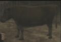 Thumbnail for version as of 01:00, July 8, 2014