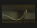 Thumbnail for version as of 01:33, May 11, 2011