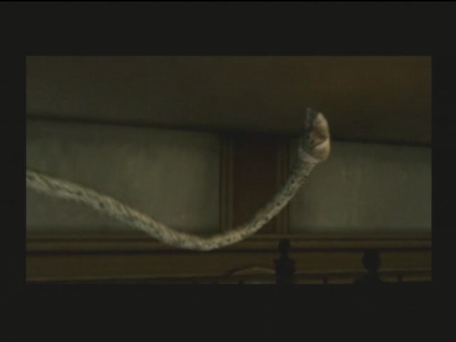File:Tentacle.jpg