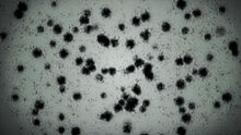 Twi-T-Virus.jpg