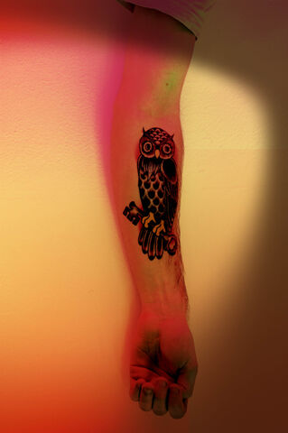File:Owl.jpg