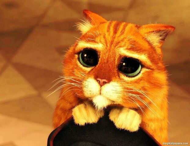 File:Adorable-pets-need-GoVacuum-Pet-Edition-Sebos-to-clean-up-after-them.jpeg