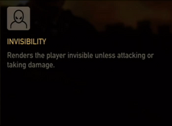 Invisibility