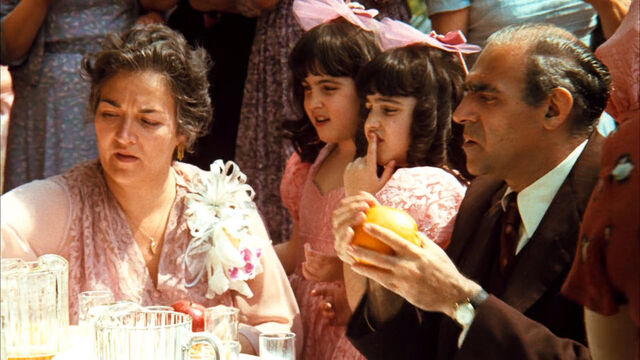 File:Orange5.jpg
