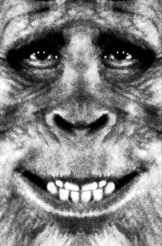 File:10-1-bigfoot-harry fullface.jpg