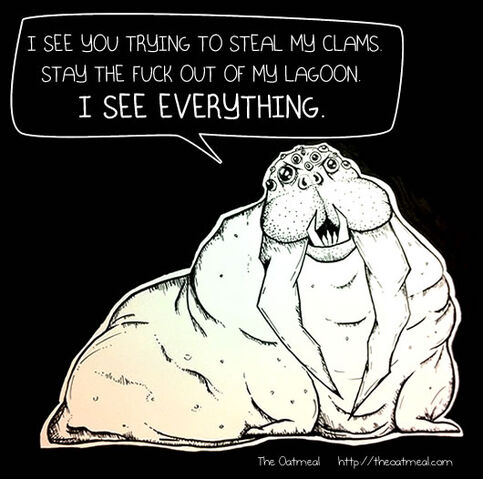 File:Compound eye walrus.jpg