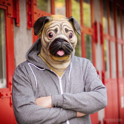 Pug2