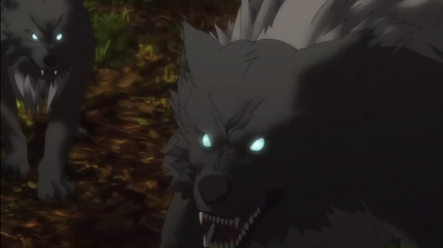 File:Kokken.png