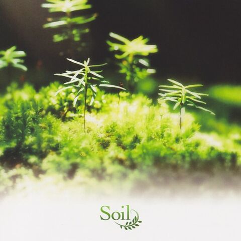File:Soil arrange album.jpg
