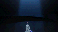 Reinhard Movimientos.gif
