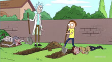 Rick-and-Morty-Season-1-Episode-6-Self-Burial