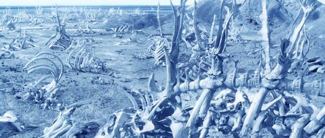 File:Whale bones.jpg