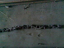 File:Chain 2.jpg