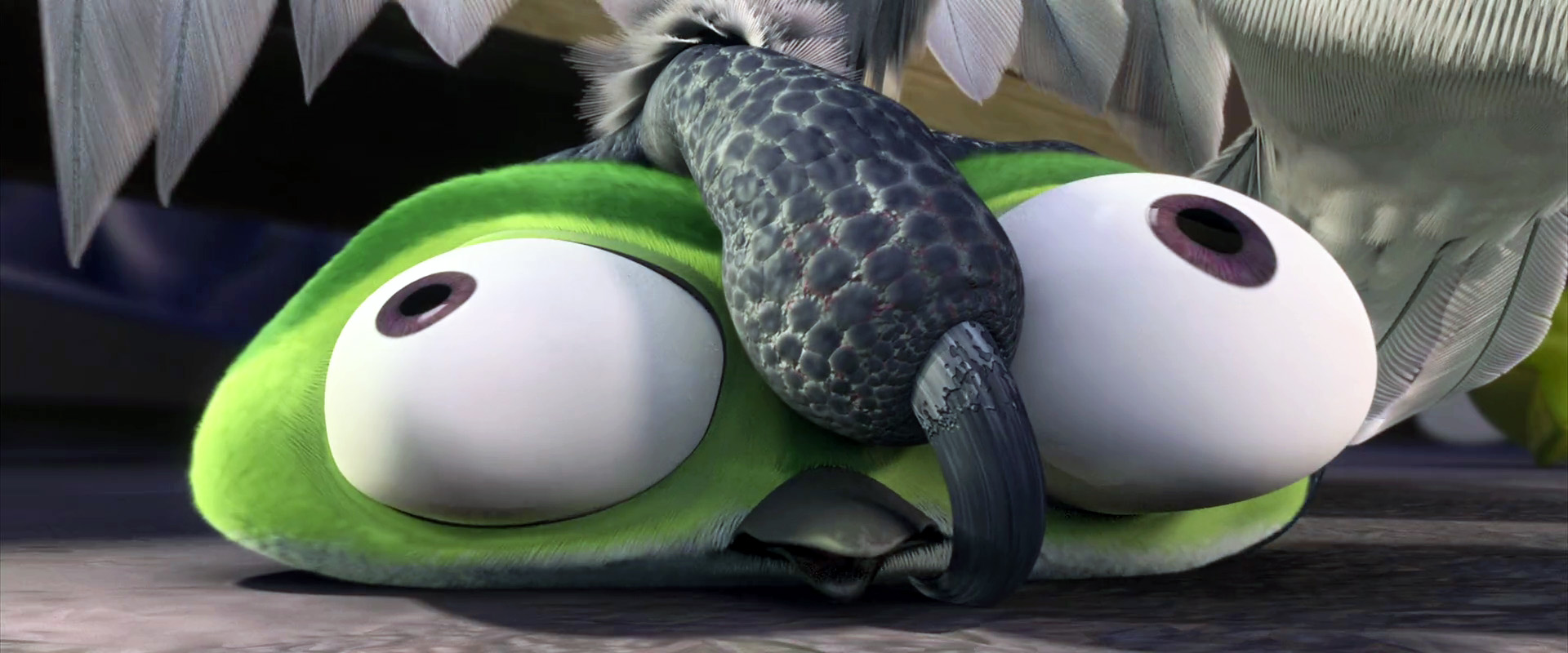 Image - Rio (movie) wallpaper - Scaredy Bird Pinned.jpg | Rio Wiki