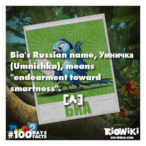 File:Rio-Wiki-100Days100Facts-047.jpg