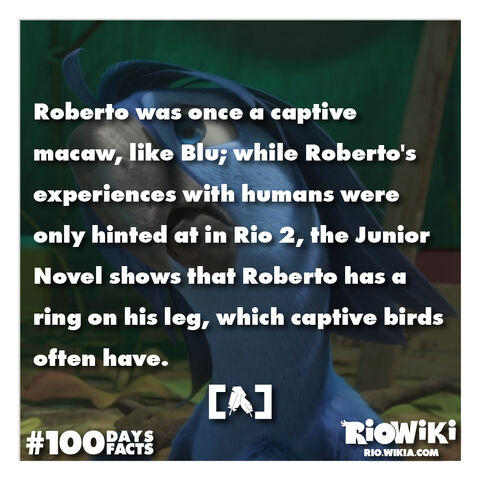 File:Rio-Wiki-100Days100Facts-052.jpg