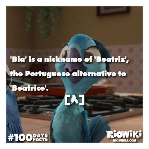 File:Rio-Wiki-100Days100Facts-017.jpg