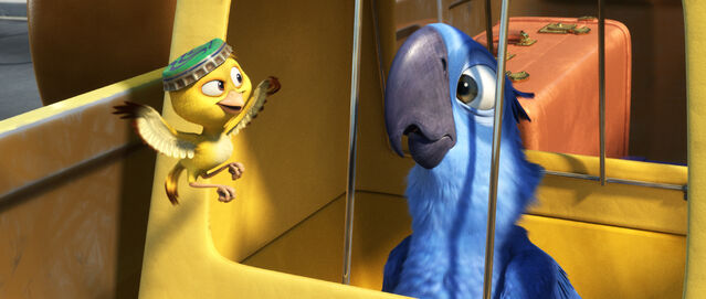 File:Nico-and-blue.jpg