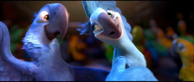 File:Rio-Movie-Wallpaper-7.jpg