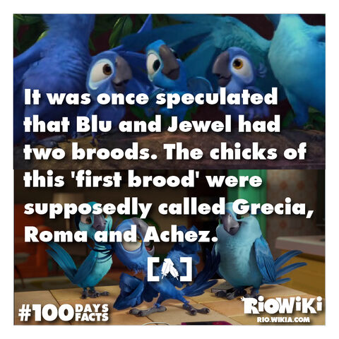File:Rio-Wiki-100Days100Facts-067.jpg