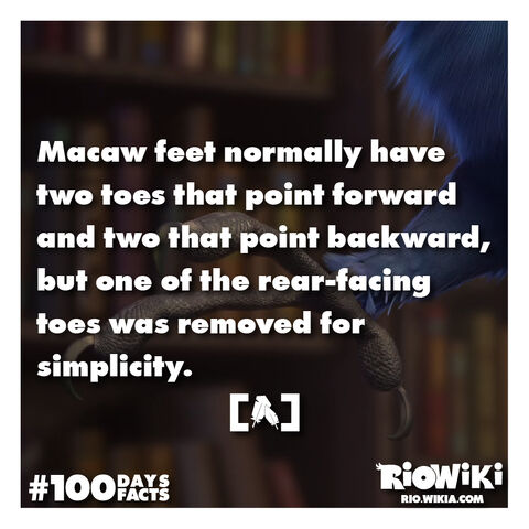 File:Rio-Wiki-100Days100Facts-068.jpg