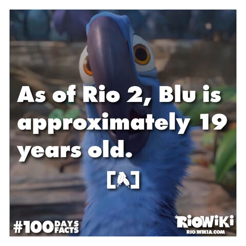 File:Rio-Wiki-100Days100Facts-094.jpg