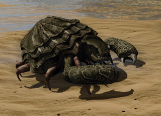 R2 Cr Giant Crab