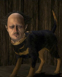 Riseofnightmares dog