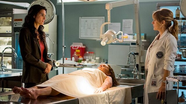 File:6x06.jpg