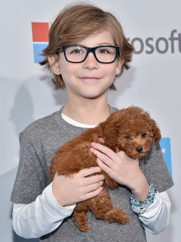 File:Tremblay-dog.jpg