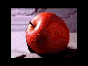 Appleshortswitchani