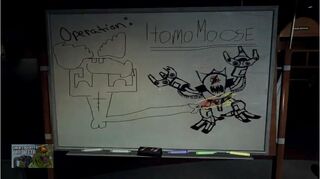 Homomoose
