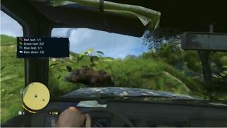 Roadkill