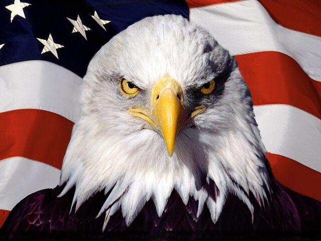 File:AMERICA ROCKS.jpg