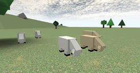 Cows