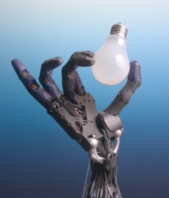 File:Shadow Hand Bulb.jpg