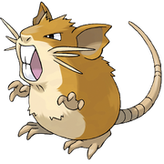 020Raticate