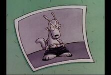 Rocko caught