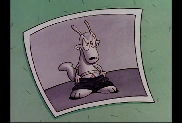 File:Rocko caught.jpg