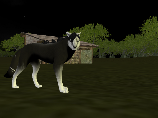 File:Screenshot 05212013 221601750.png