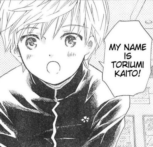 File:Toriumi kaito.jpg