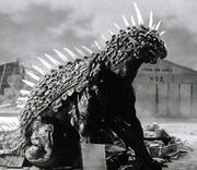 Varan58 tn