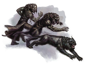 Rexfelis.jpg