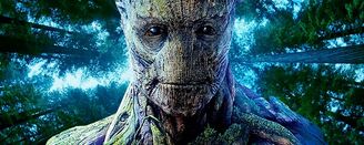 Groot