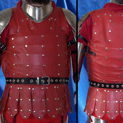 Coat of Plates