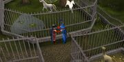 Cheating Percy