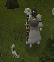 Proffessor Oak