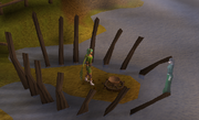 Gracestine in Rellekka