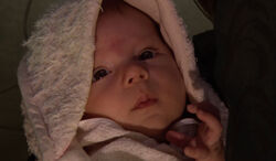 Baby leia.jpg